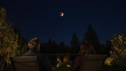 Two adults watching a partial lunar eclipse from a backyard at night