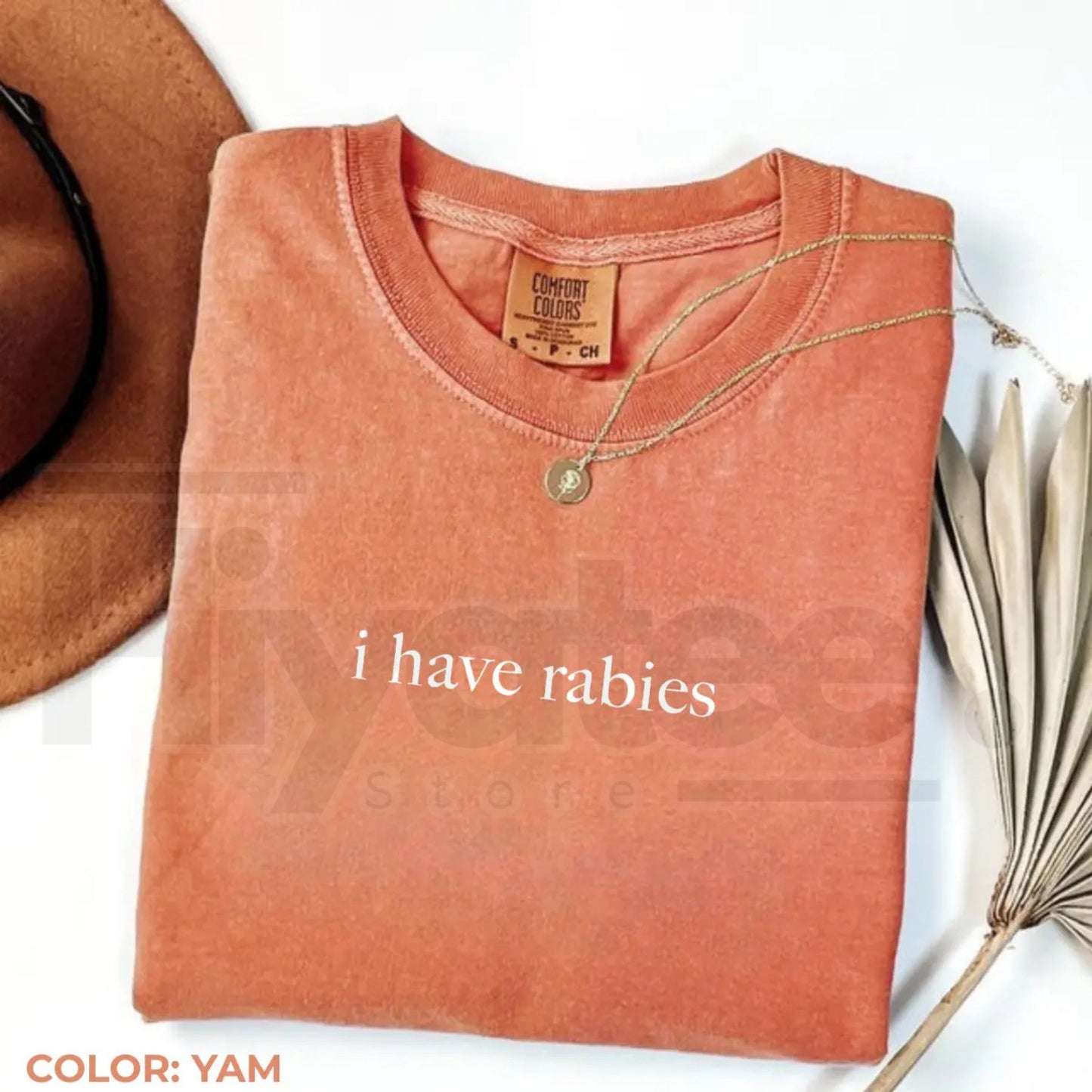 Comfort Colors I Have Rabies Graphic Tee – Aesthetic Unhinged Sarcasm Shirt