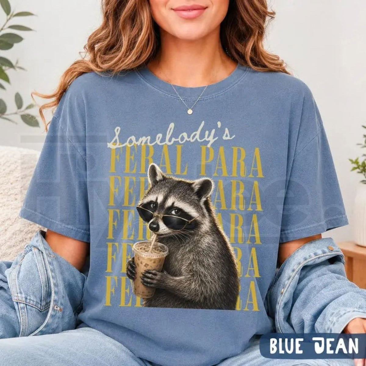 Comfort Colors Funny Raccoon Paraprofessional Para Tee