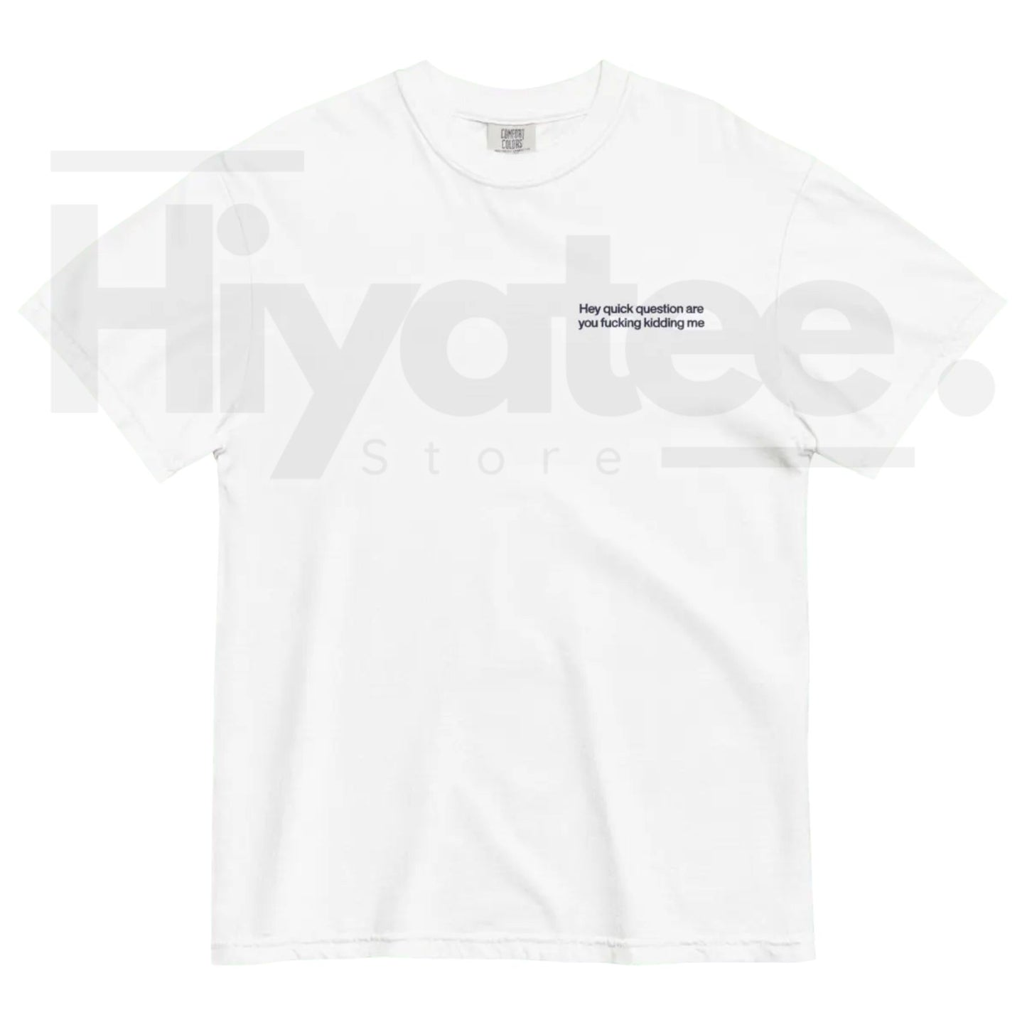 "Hey Quick Question Are You Kidding Me" Embroidered T-Shirt