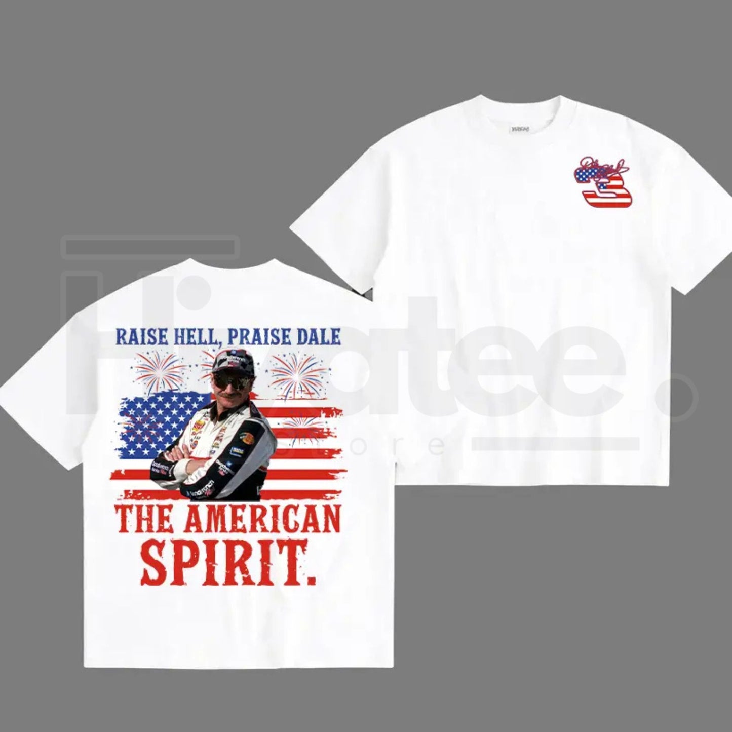 "Raise Hell, Praise Dale" – Dale Earnhardt 03 American Spirit Retro Top