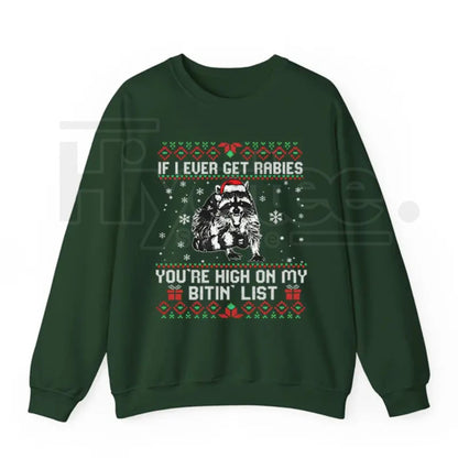 Funny Christmas Raccoon Sweatshirt: "You’re High On My Naughty List" Pullover, Retro Holiday Humor Jumper, Trash Panda Gift