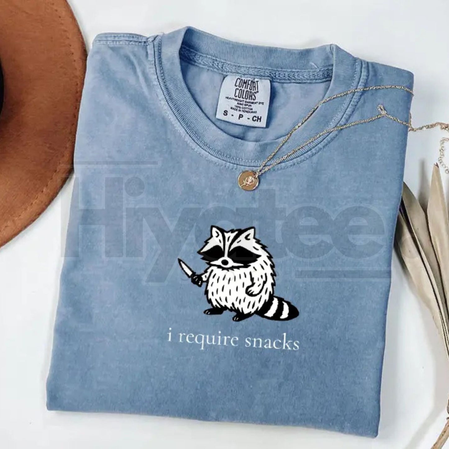 Comfort Colors "I Require Snacks" Raccoon Tee – Funny Goblincore Animal Lover Gift, Cozy Snack Gremlin Shirt
