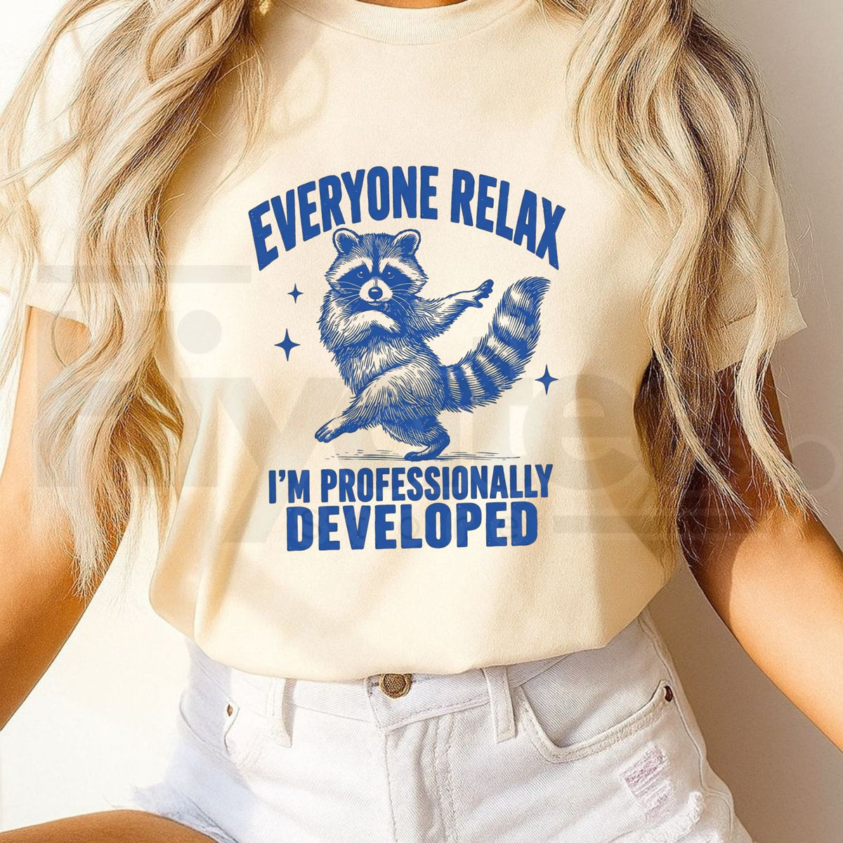 Comfort Colors Funny Raccoon Teacher T-Shirt – Professionally Developed Tee