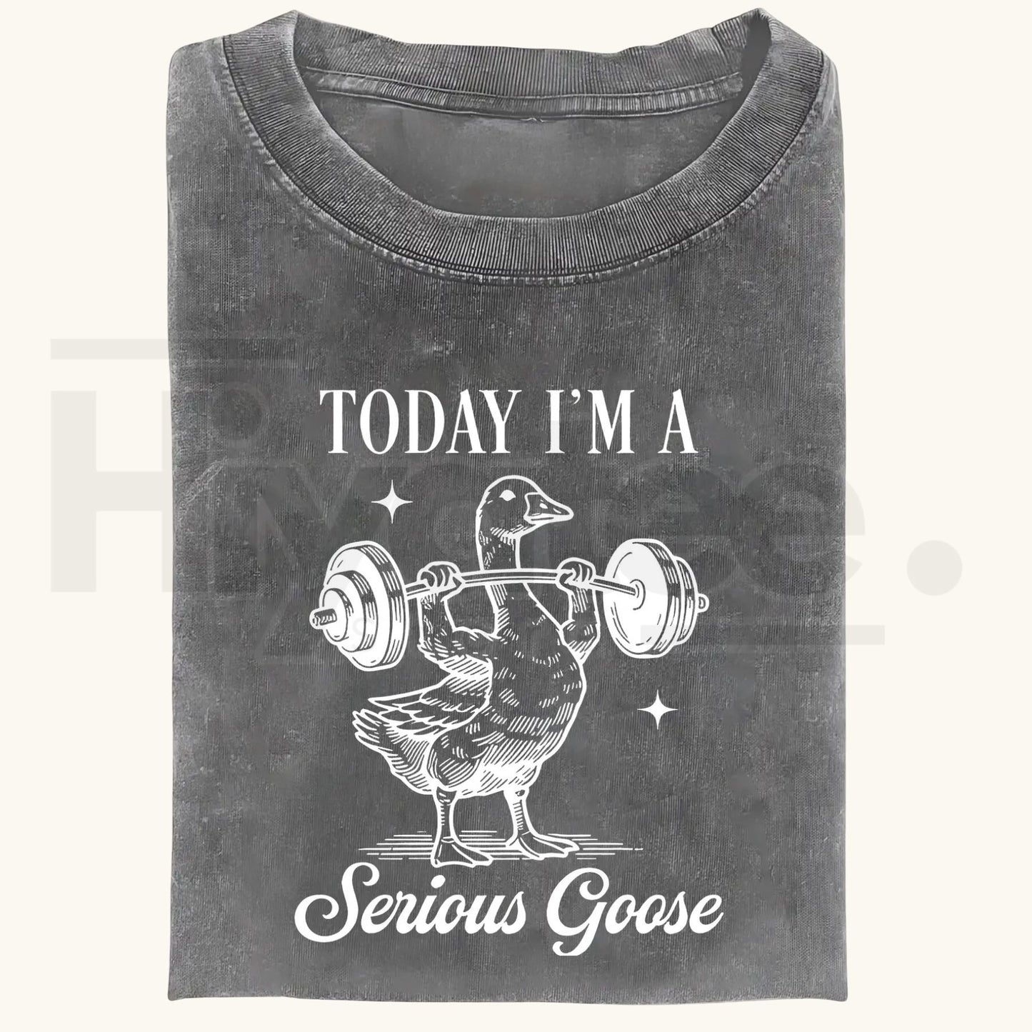 Funny Goose Gym Vintage Washed T-Shirt – Heavyweight 230g Graphic Oversized Tee