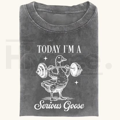 Funny Goose Gym Vintage Washed T-Shirt – Heavyweight 230g Graphic Oversized Tee