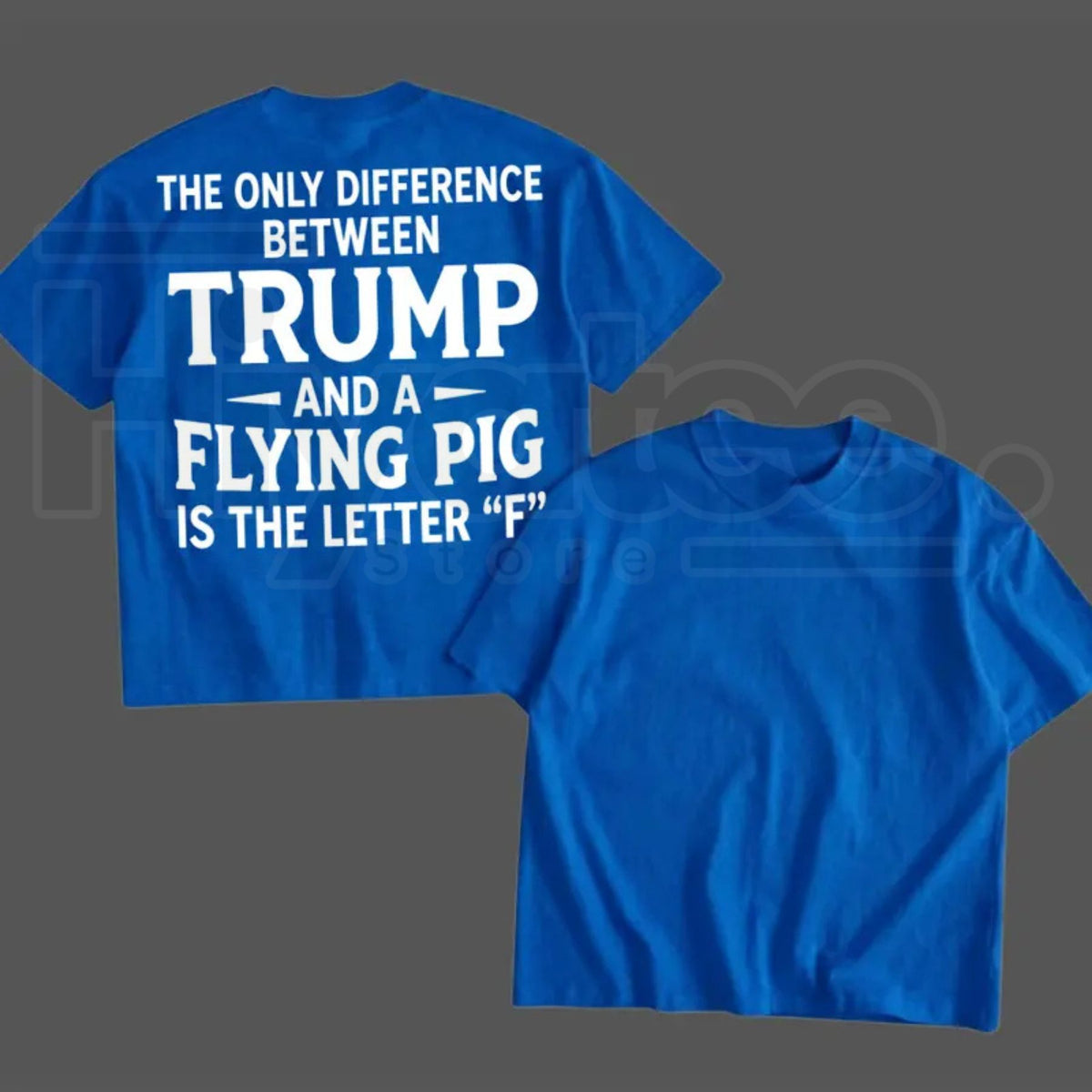 Funny Election Graphic T-Shirt – Humorous Quote Tee, 1-Sided Printed Daily Casual Shirt, Made in USA Gift for Men & Women