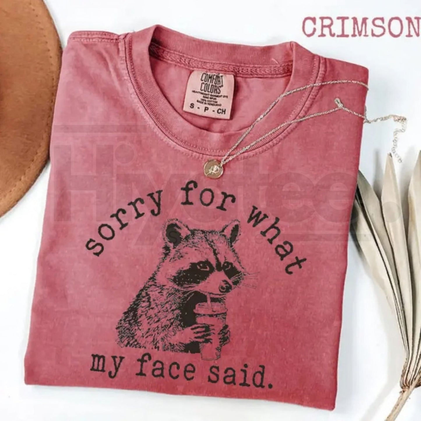 Comfort Colors® "Sorry For What My Face Said" Shirt – Sarcastic Raccoon Humor Tee