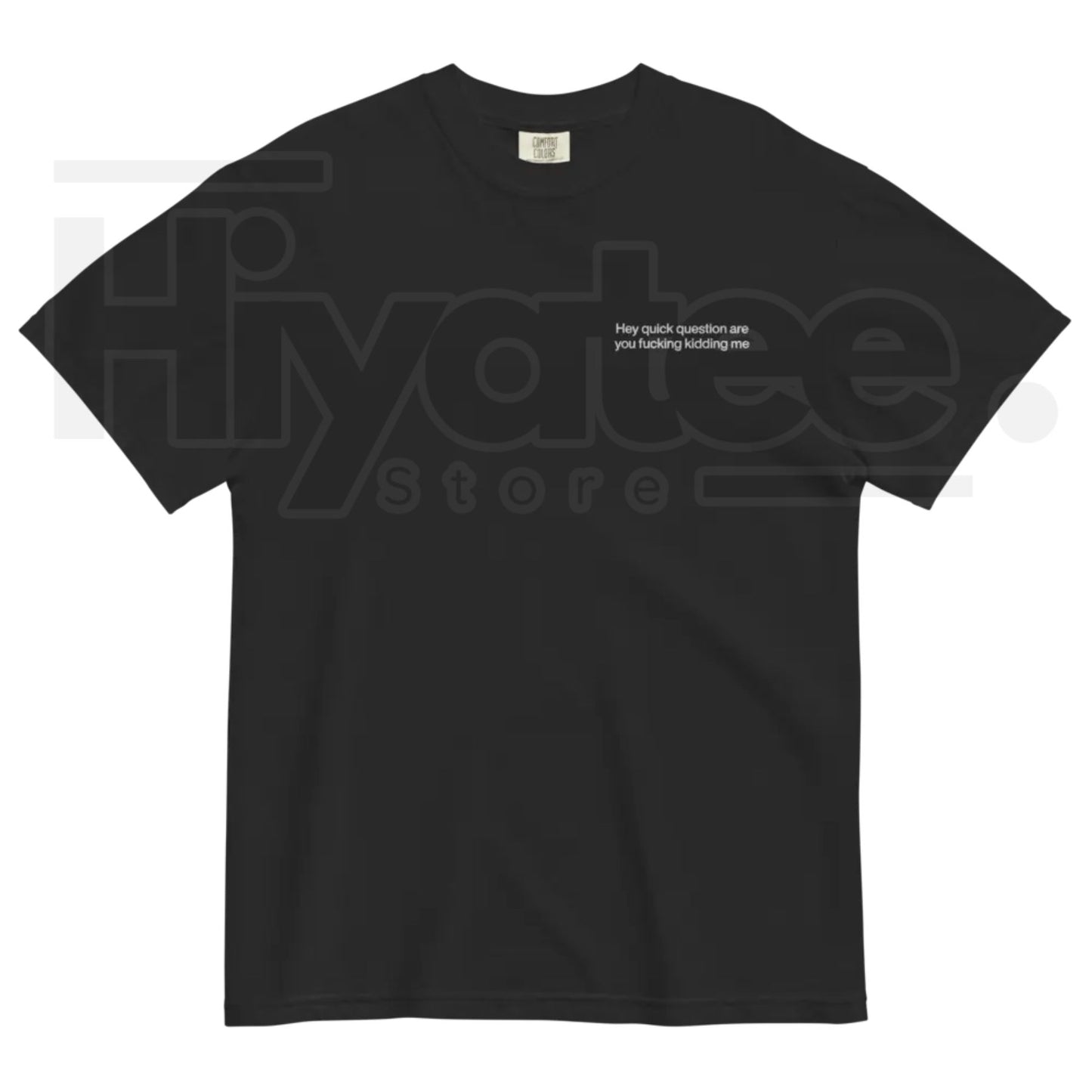 "Hey Quick Question Are You Kidding Me" Embroidered T-Shirt