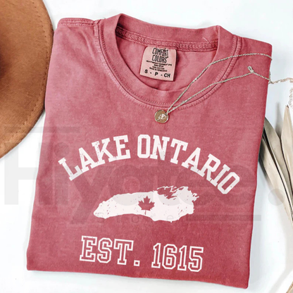 Comfort Colors Lake Ontario Anti Trump Protest Shirt Activist Graphic Tee