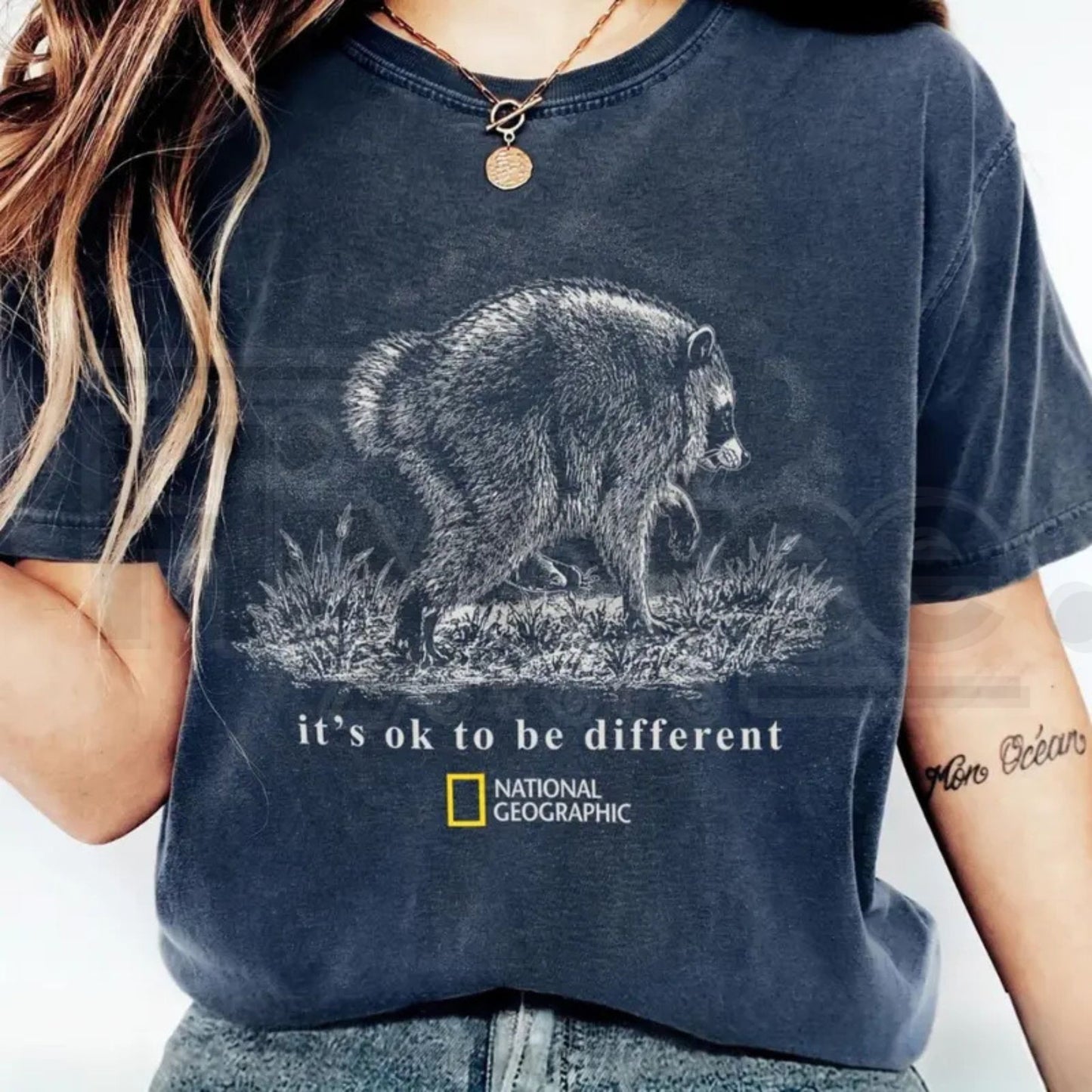 Comfort Colors Jimothy Raccoon T Shirt, Famous Seattle Raccoon Graphic Tee, Vintage Y2K Graphic T-Shirt, Cute Trash Panda TShirt, Funny Animal Gift