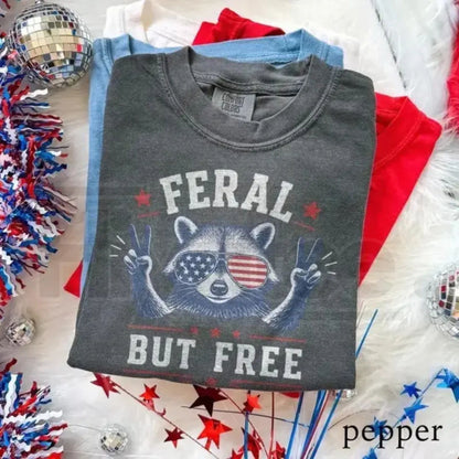 Comfort Colors USA 250th Birthday Patriotic Freedom Raccoon T-Shirt – Americana Independence Day Summer Style Gift Tee
