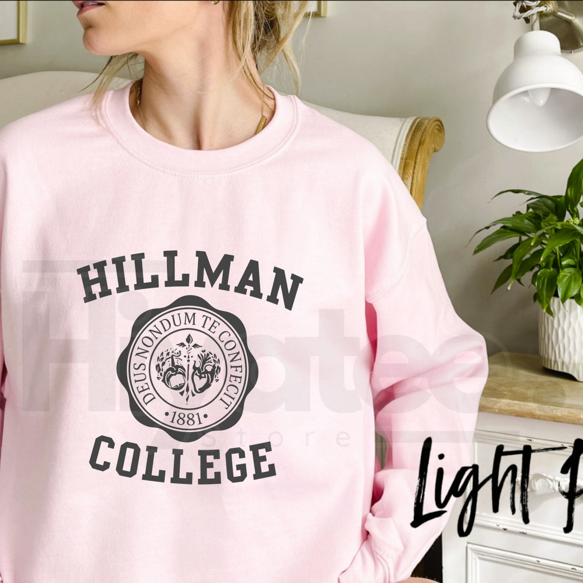Hillman College Sweatshirt – Vintage College Graphic Crewneck, Retro Campus Style Pullover, Classic Collegiate Fan Gift
