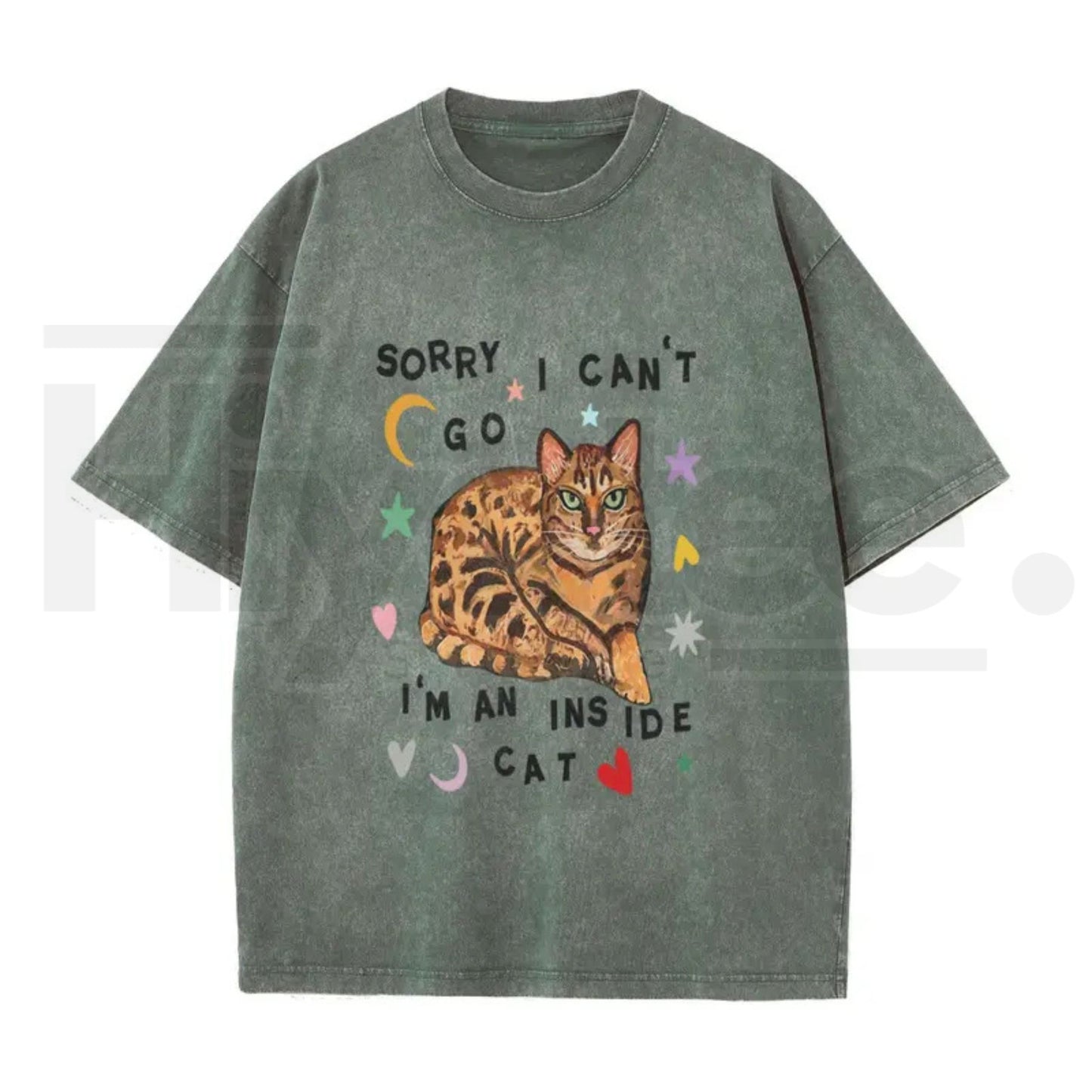 Plus Size "Sorry, I Can't Go, I'm a Home Cat" Vintage Washed T-Shirt
