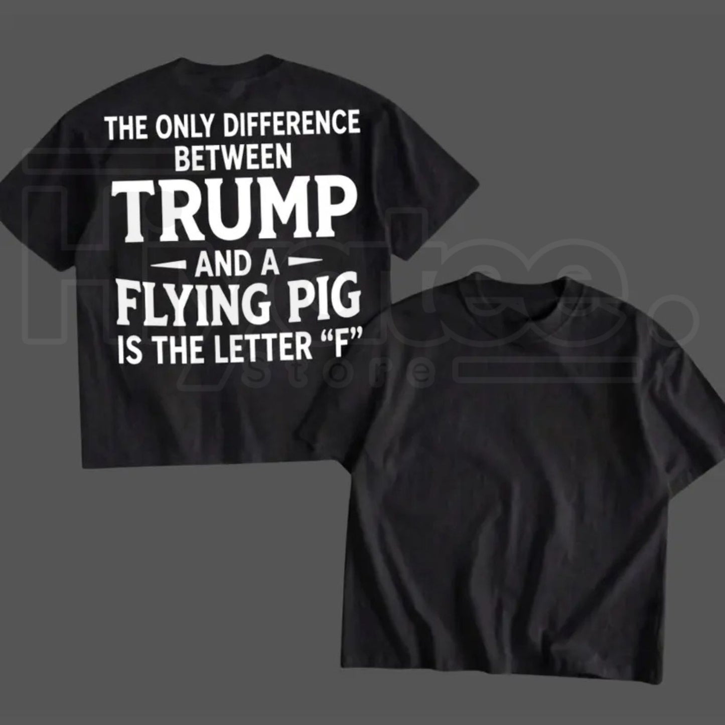 Funny Election Graphic T-Shirt – Humorous Quote Tee, 1-Sided Printed Daily Casual Shirt, Made in USA Gift for Men & Women