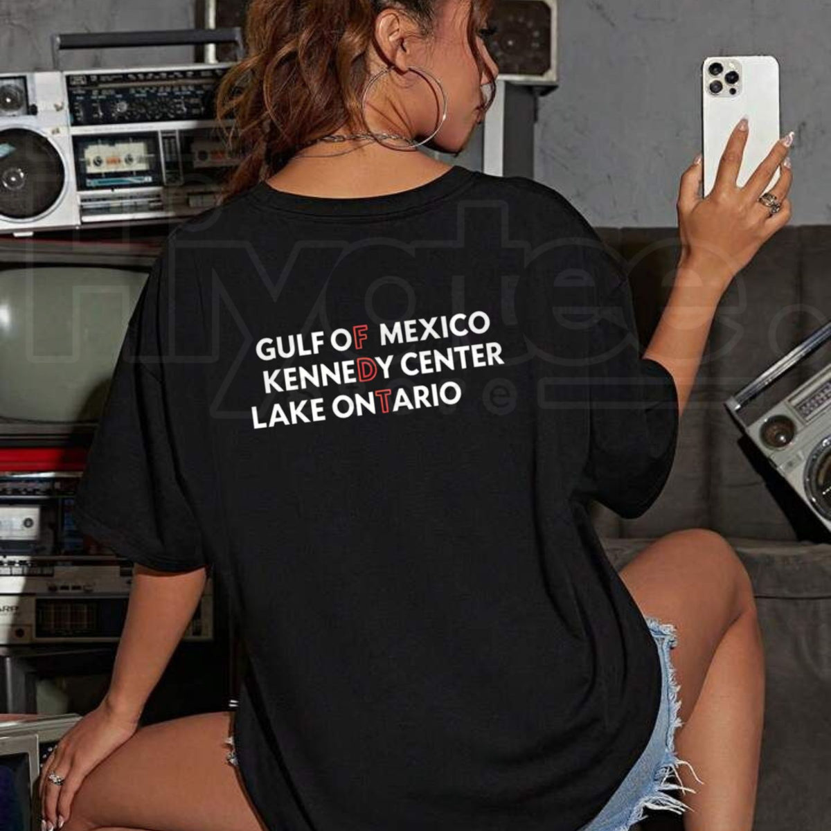 Gulf Of Mexico Kennedy Center Lake Ontario T-Shirt – Geography Graphic Tee