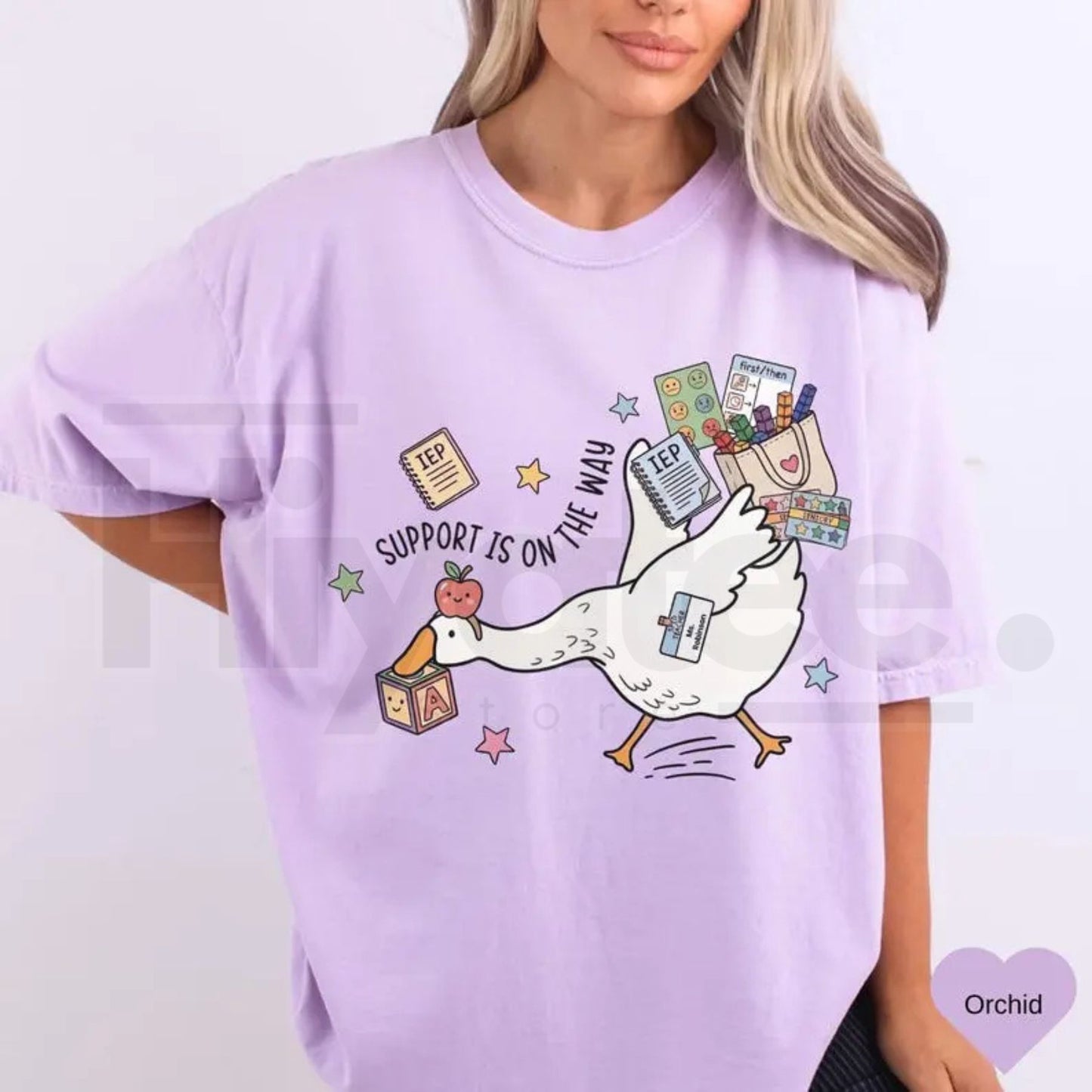 Comfort Colors® Silly Goose Special Education Teacher Shirt – Funny SPED Team Tee