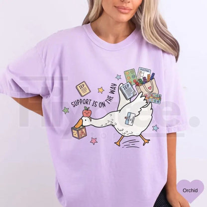 Comfort Colors® Silly Goose Special Education Teacher Shirt – Funny SPED Team Tee