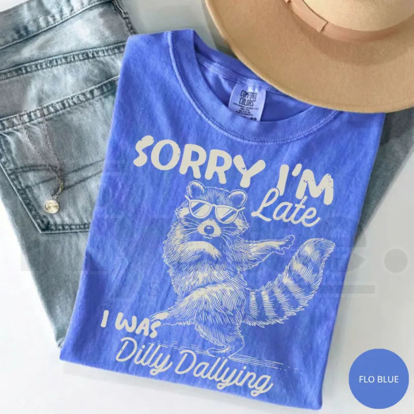 Comfort Colors Funny Raccoon Sorry I'm Late Shirt – Sarcastic Dilly Dallying Trash Panda Meme T-Shirt