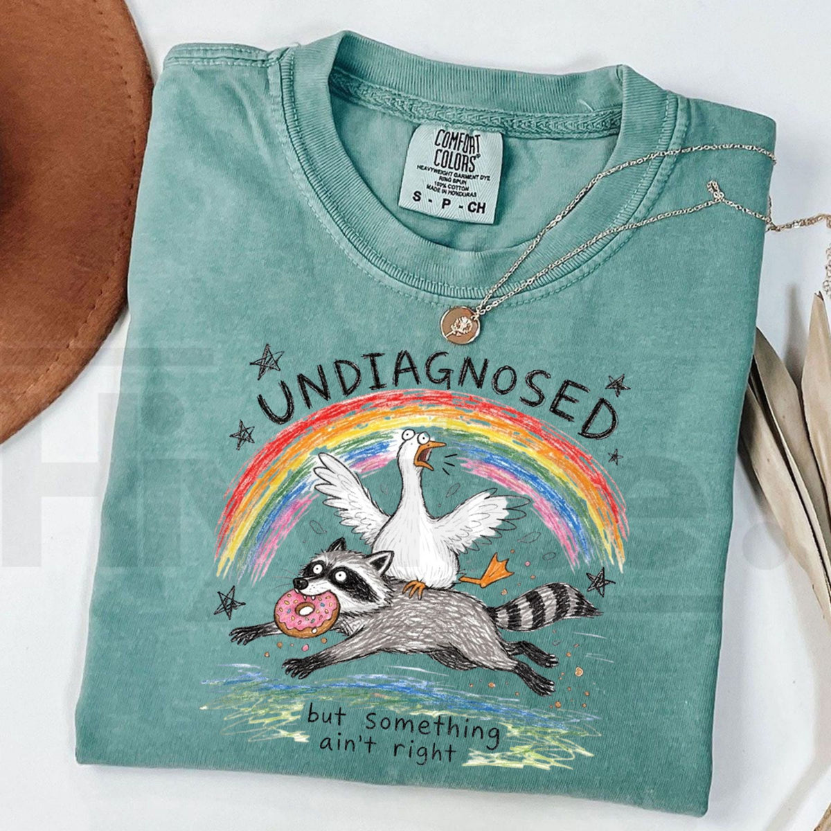 Comfort Colors Undiagnosed But Something Ain't Right T-Shirt – Funny Goose Riding Raccoon Tee