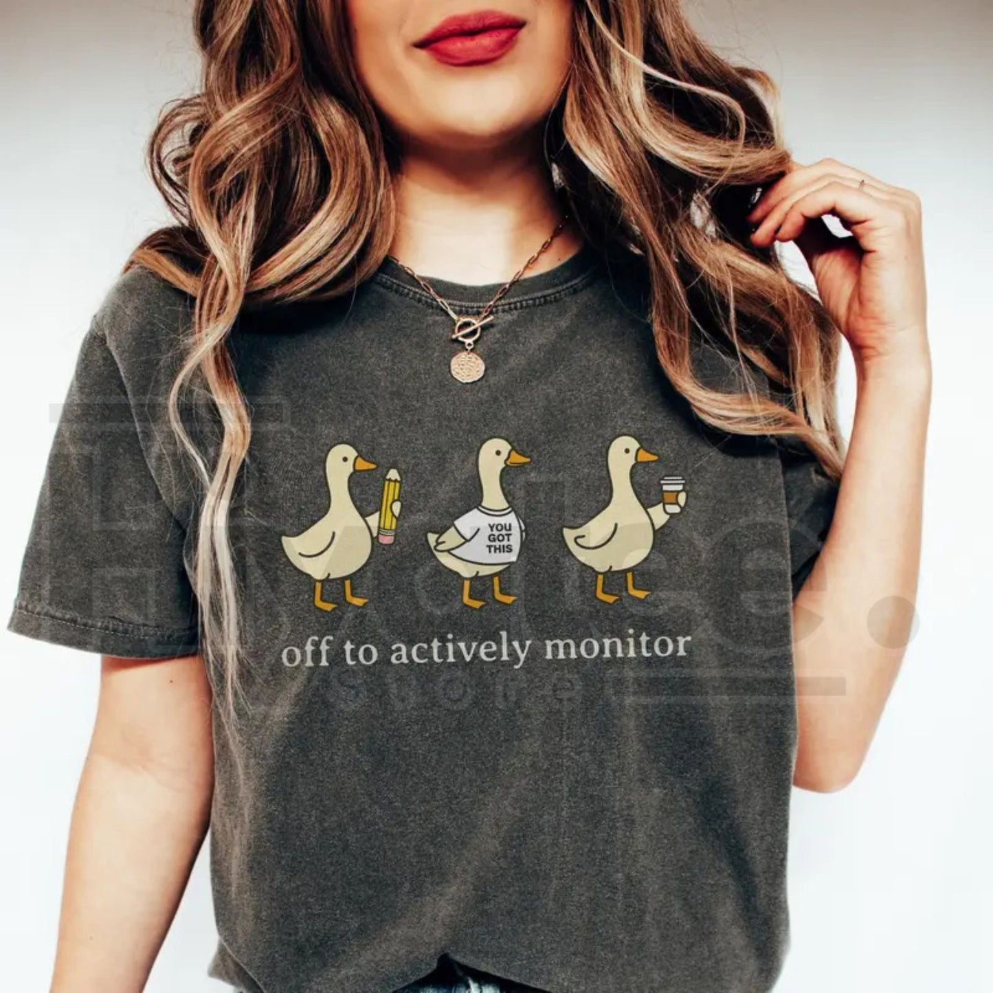 Funny Teacher State Testing Goose Tshirt, Test Day Funny Gift For Teacher Testing Coordinator
