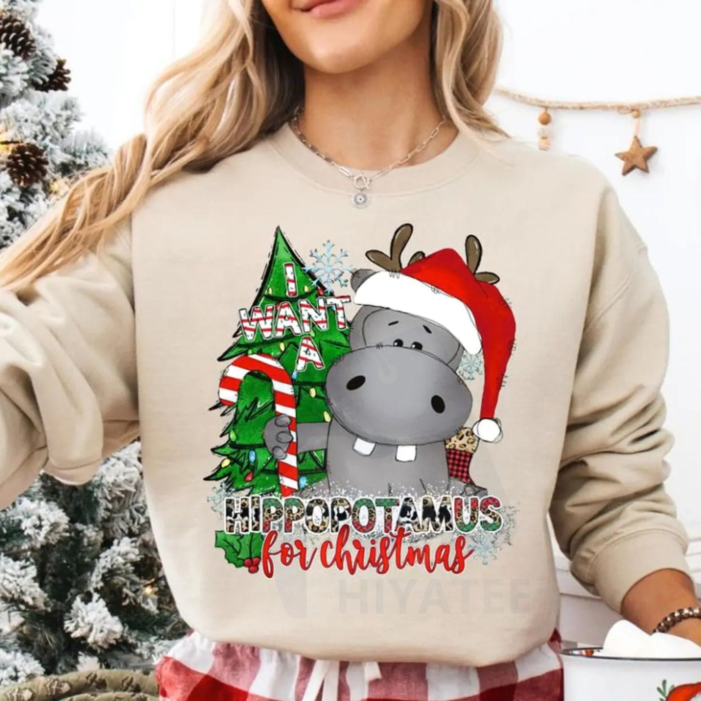 I Want a Hippopotamus for Christmas Sweatshirt: Hippo Shirt, Christmas Hippo Sweatshirt, Hippo Family Matching, CT01 TZ