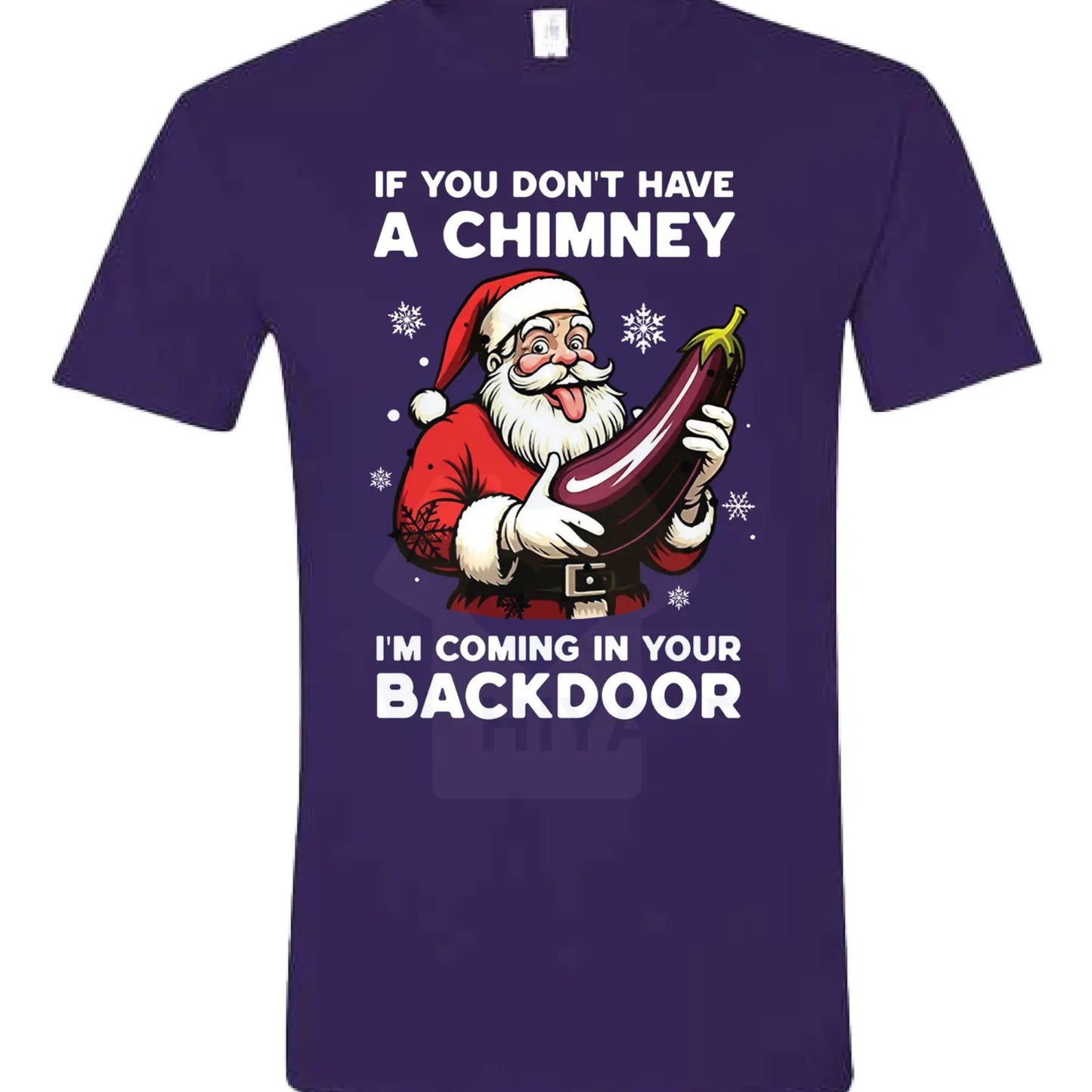 Backdoor Santa T-Shirt – Funny, Quality, and Comfortable Holiday Shirt