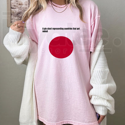 Funny History Meme T-Shirt – Japan Flag Pie Chart Countries Got Nuked Graphic Tee