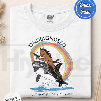 Comfort Colors Sarcastic Undiagnosed Something Ain't Right T-Shirt