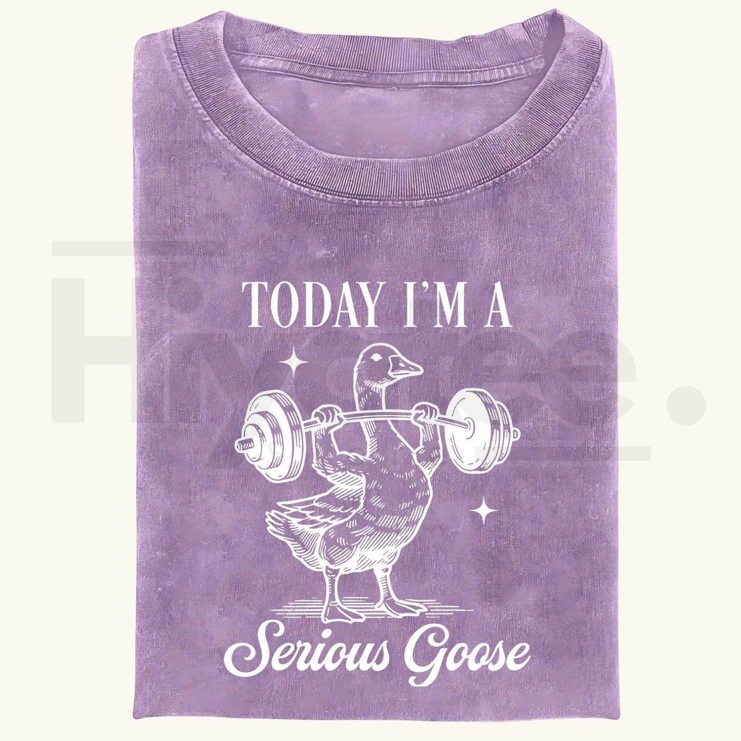 Funny Goose Gym Vintage Washed T-Shirt – Heavyweight 230g Graphic Oversized Tee