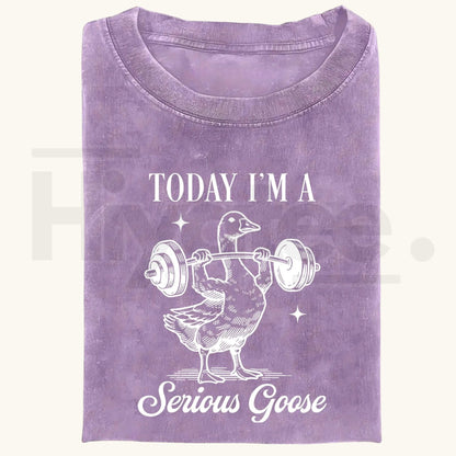 Funny Goose Gym Vintage Washed T-Shirt – Heavyweight 230g Graphic Oversized Tee