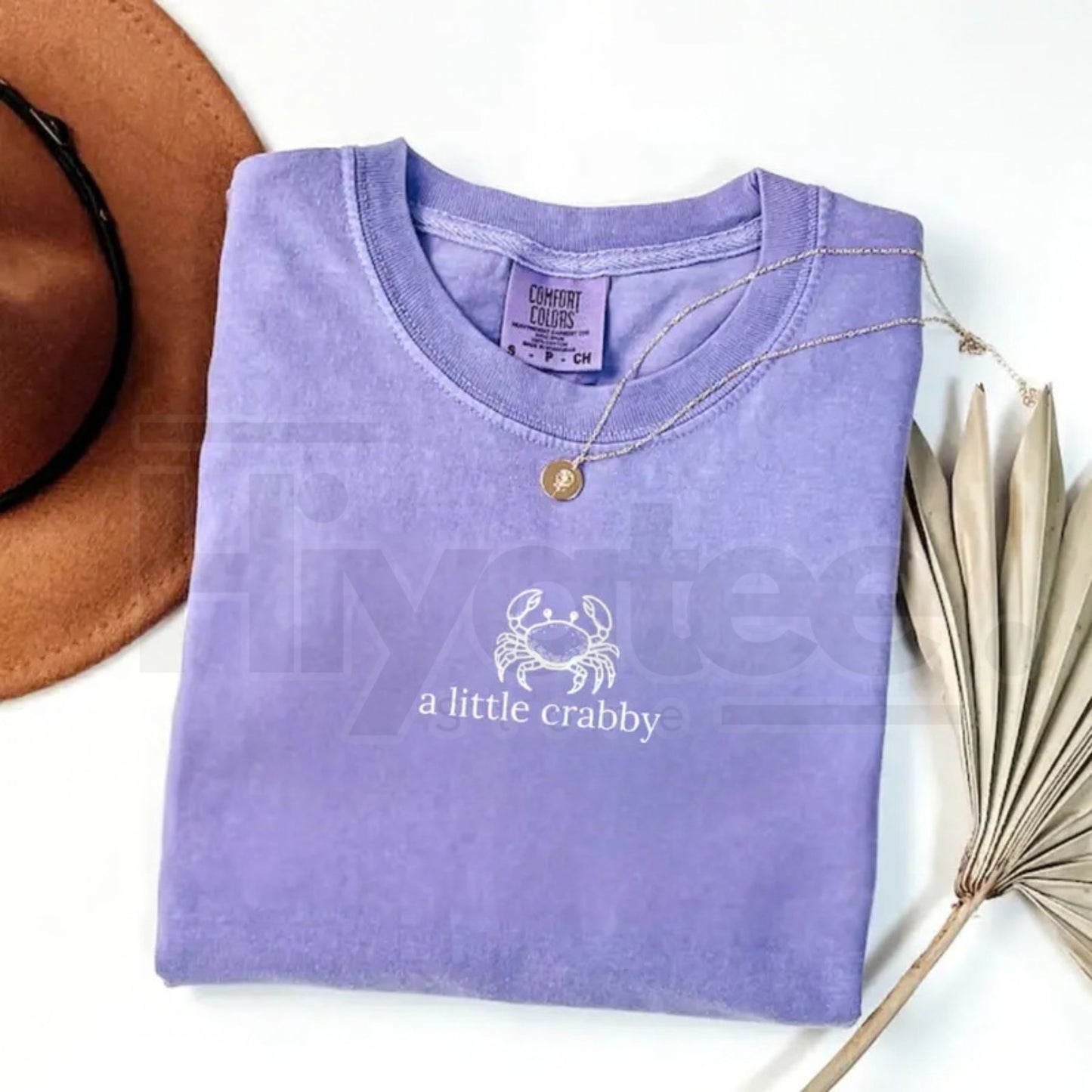 Comfort Colors® A Little Crabby Shirt – Minimalist Beach T-Shirt, Funny Coastal Summer Aesthetic Tee