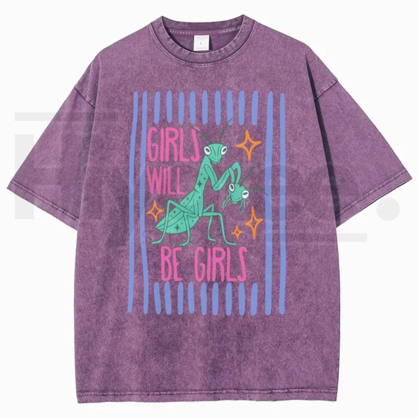 Girls Will Be Girls Mantis T-Shirt – Funny Bug Feminist Washed Graphic Tee