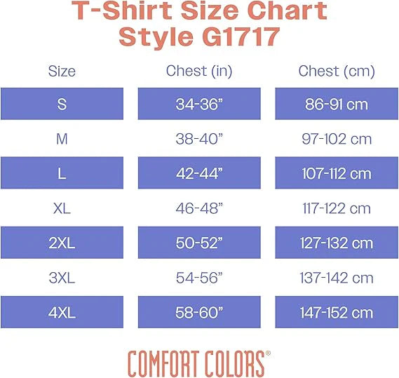 Unisex Mexico Goose Embroidered Comfort Colors® T-Shirt – Mexico Futbol Silly Goose Tee