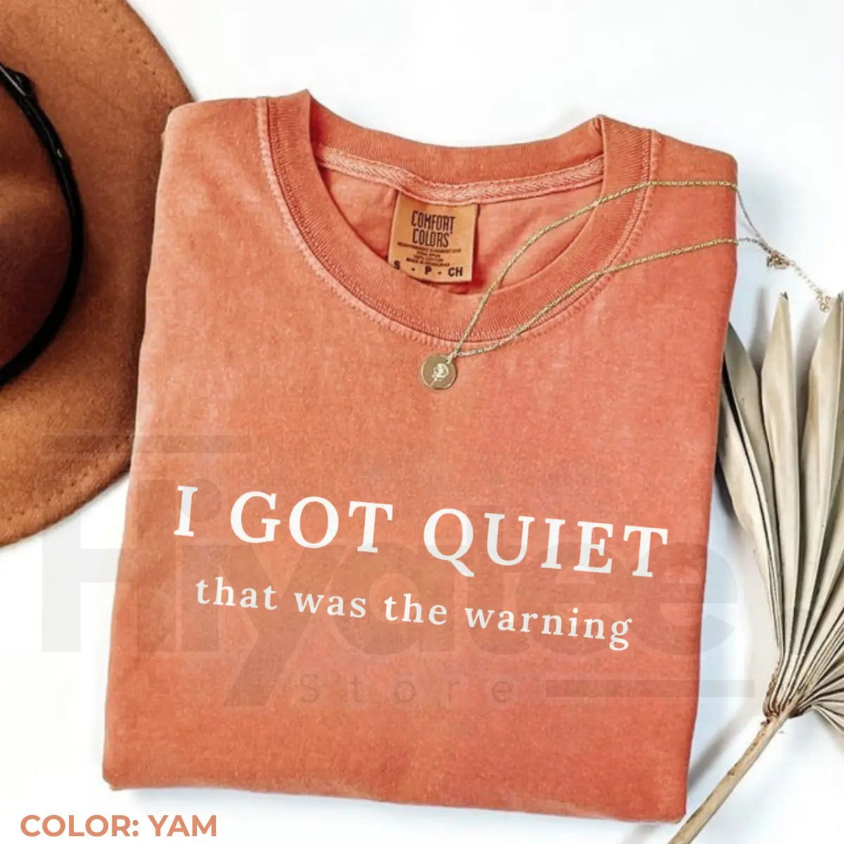 Comfort Colors I Got Quiet That Was the Warning Funny Tee
