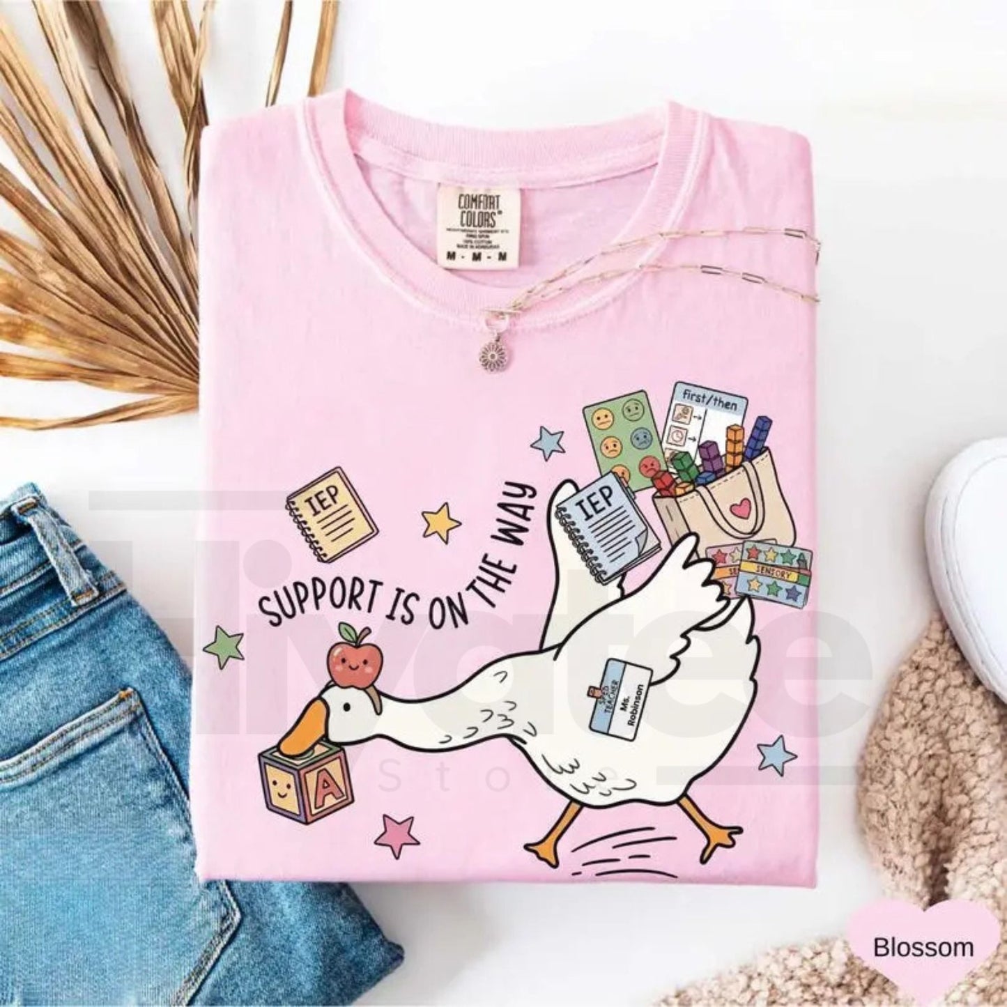 Comfort Colors® Silly Goose Special Education Teacher Shirt – Funny SPED Team Tee