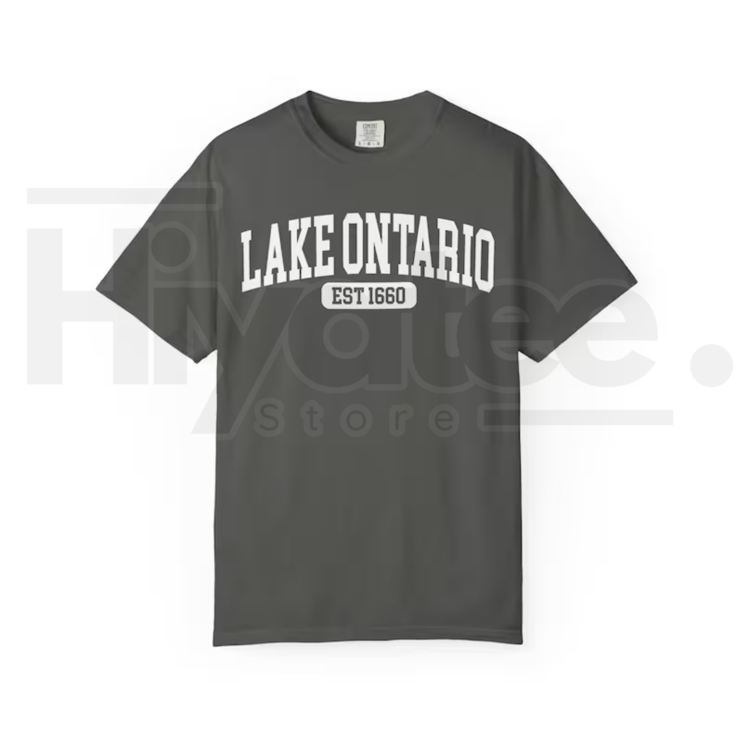Lake Ontario Est 1660 T-Shirt Funny Canada Trump Tariff Satire Tee
