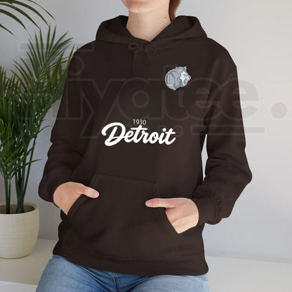Retro City Football Hoodie – Vintage Hometown Sports Graphic Pullover