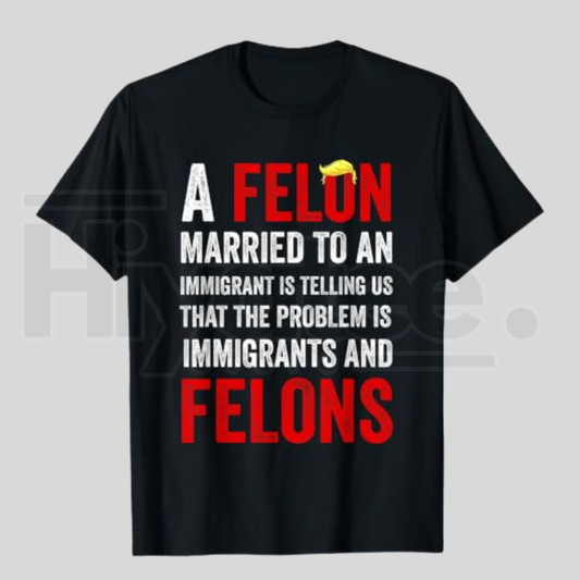 A Felon Married to an Immigrant is Telling Us That The Problem T-Shirt - Hiyatee