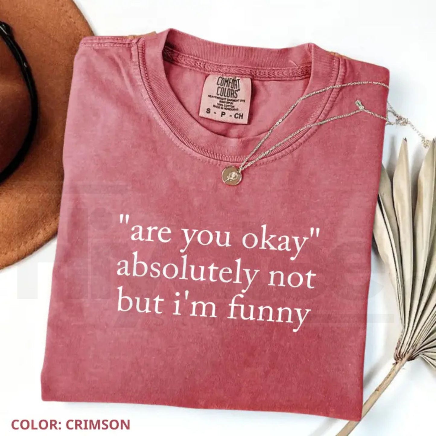 Are You Okay Absolutely Not But I'm Funny T-Shirt – Sarcastic Quote Tee, Trendy Humor Graphic Shirt for Women - Hiyatee