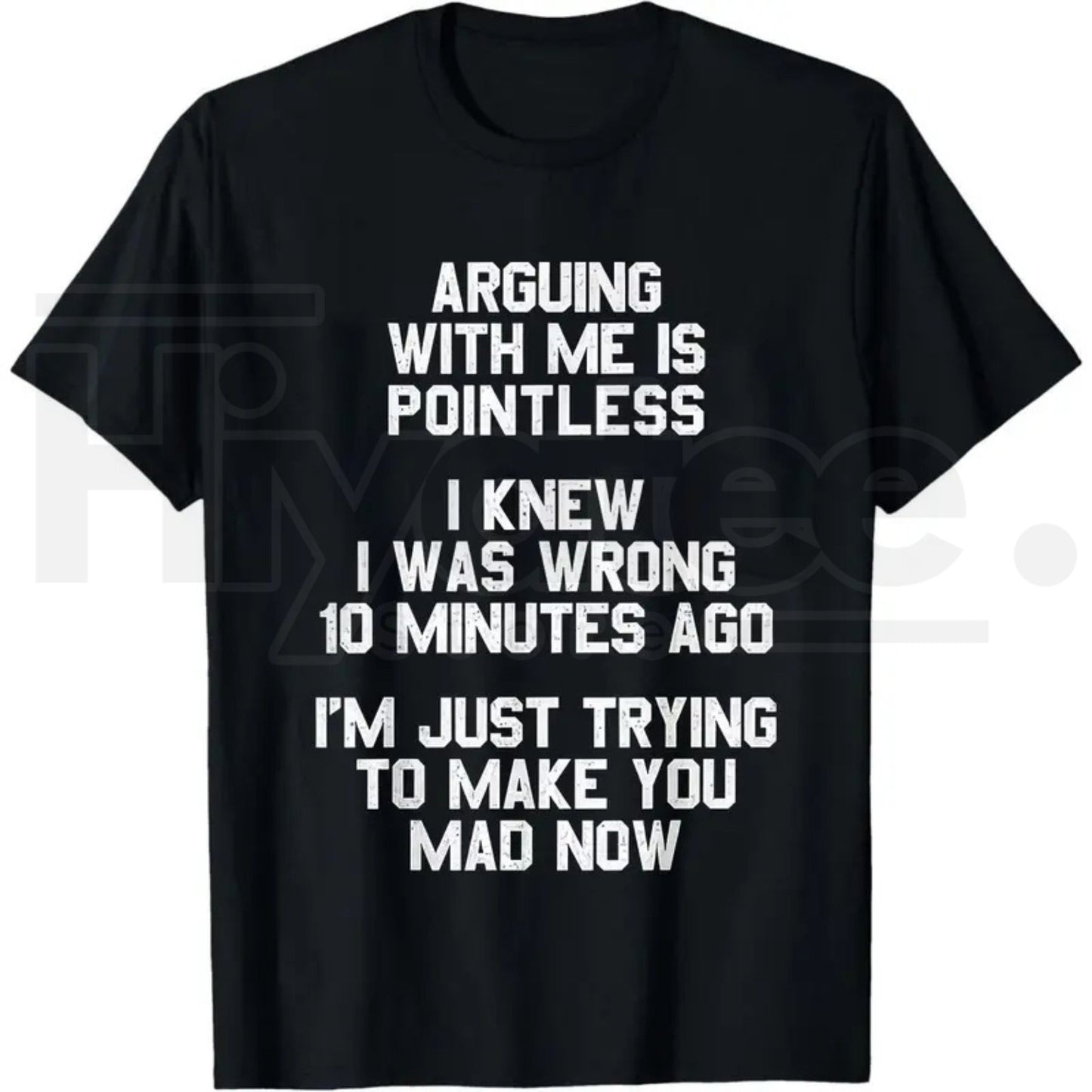 Arguing with Me Is Pointless T-Shirt – 220gsm Heavyweight Retro Unisex Funny Quote Tee - Hiyatee