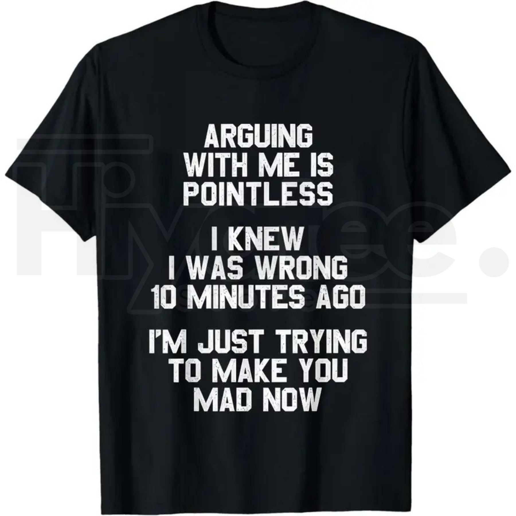 Arguing with Me Is Pointless T-Shirt – 220gsm Heavyweight Retro Unisex Funny Quote Tee - Hiyatee