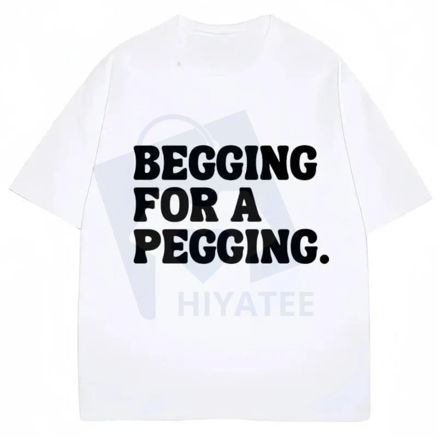 "Begging for A Pegging" Funny Letter Print T-shirt – Oversized Streetwear Unisex Cotton Tee - Hiyatee