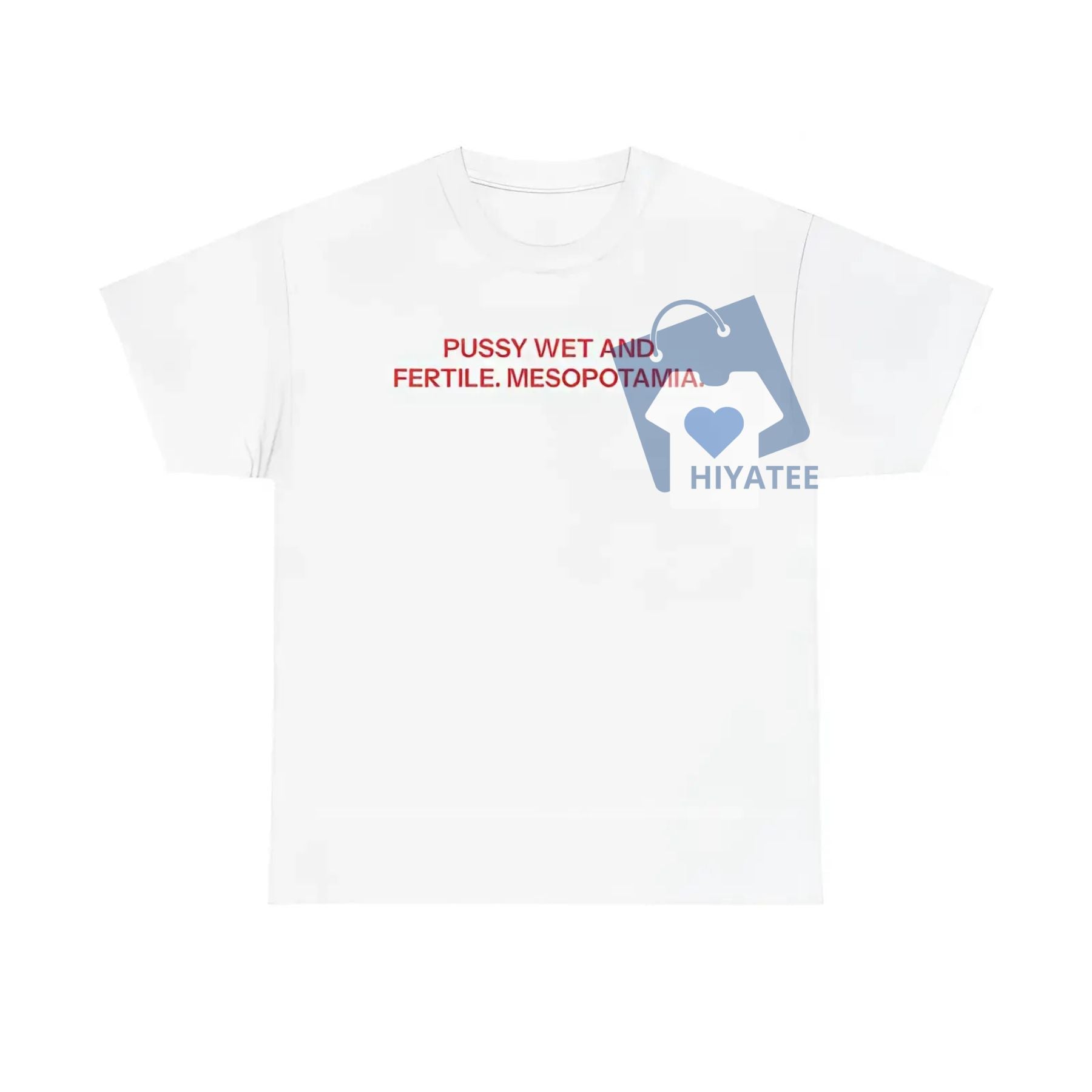 Bold Statement Tee – “Wet & Fertile. Mesopotamia.” Graphic Streetwear Shirt-Hiyatee