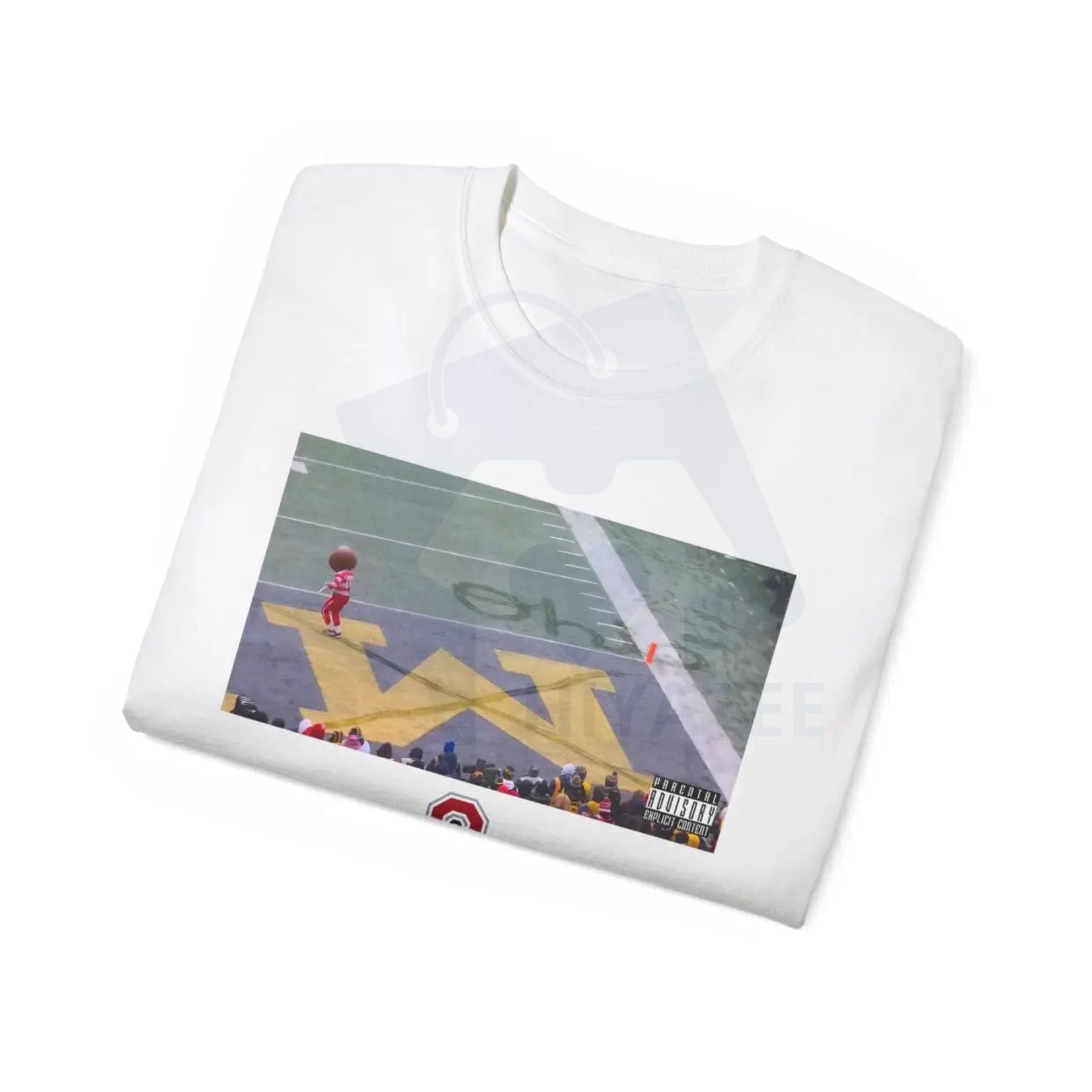 Buckeye Ohio Snow T-Shirt – Football Game Day Gift for Fan, Winter Gameday Tee, Ohio Pride Top - Hiyatee