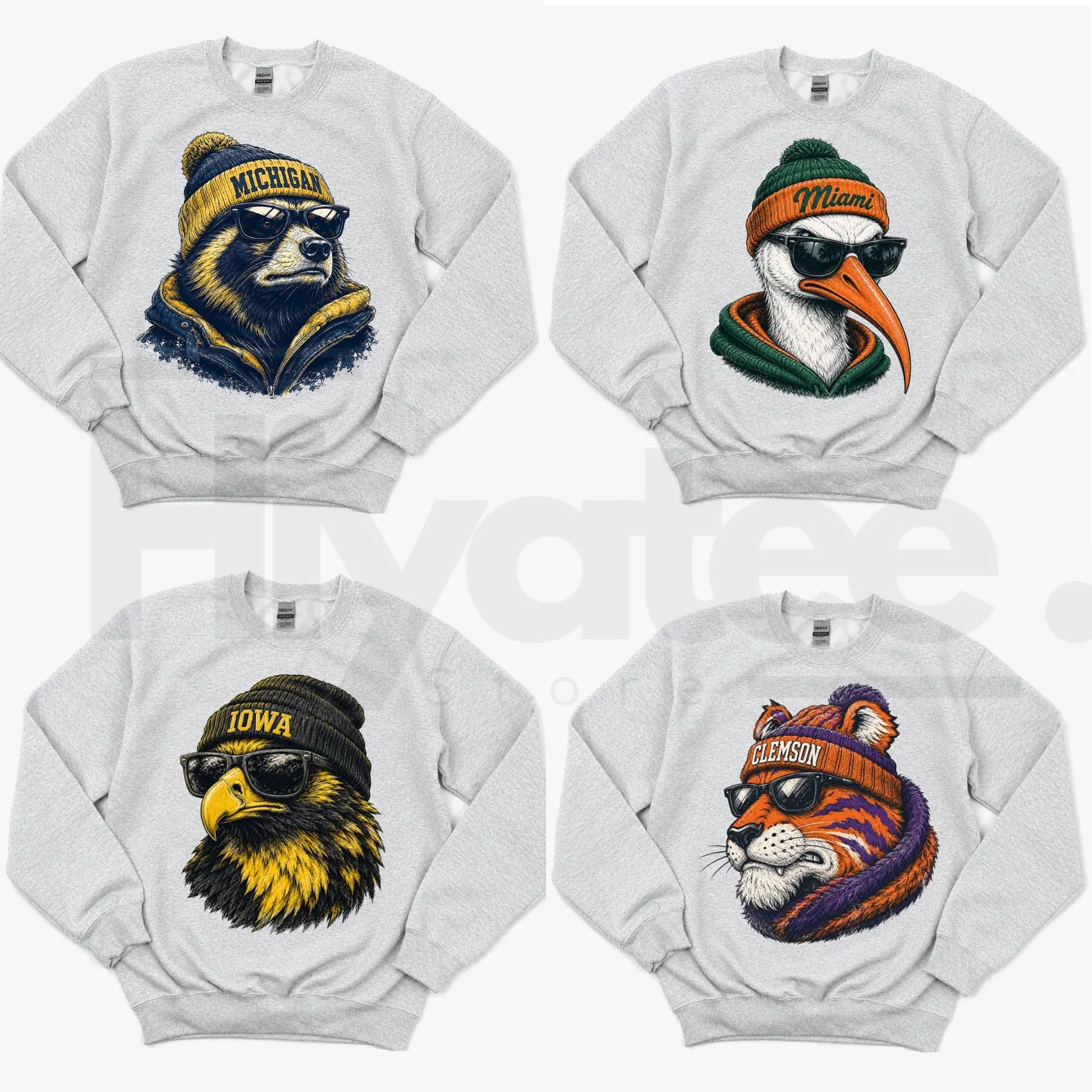 College Football Spirit Animal Graphic Sweatshirt – Retro Game Day Sports Pullover, Hometown City Football Crewneck - Hiyatee