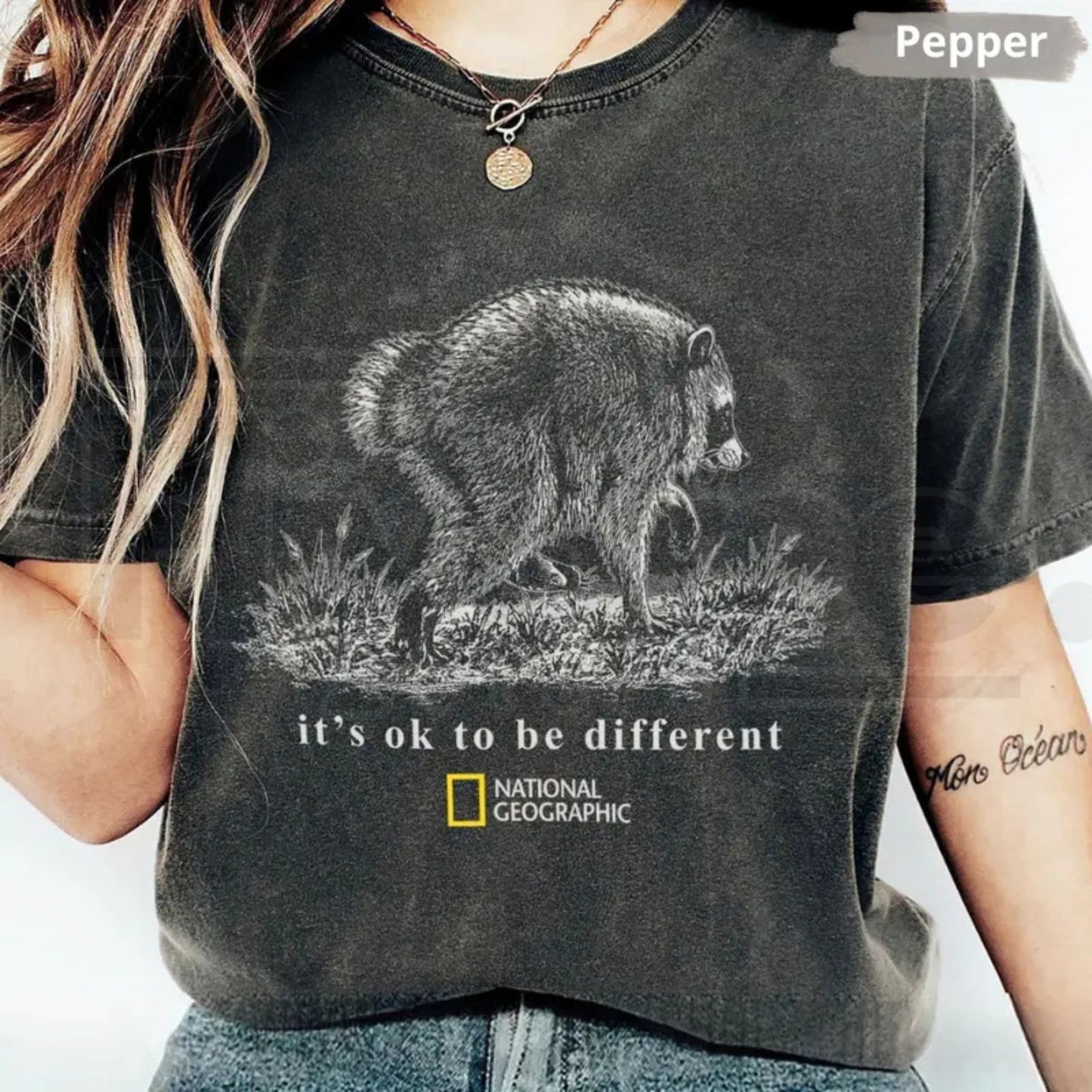 Comfort Colors Jimothy Raccoon T Shirt Famous Seattle Graphic Tee - Hiyatee 