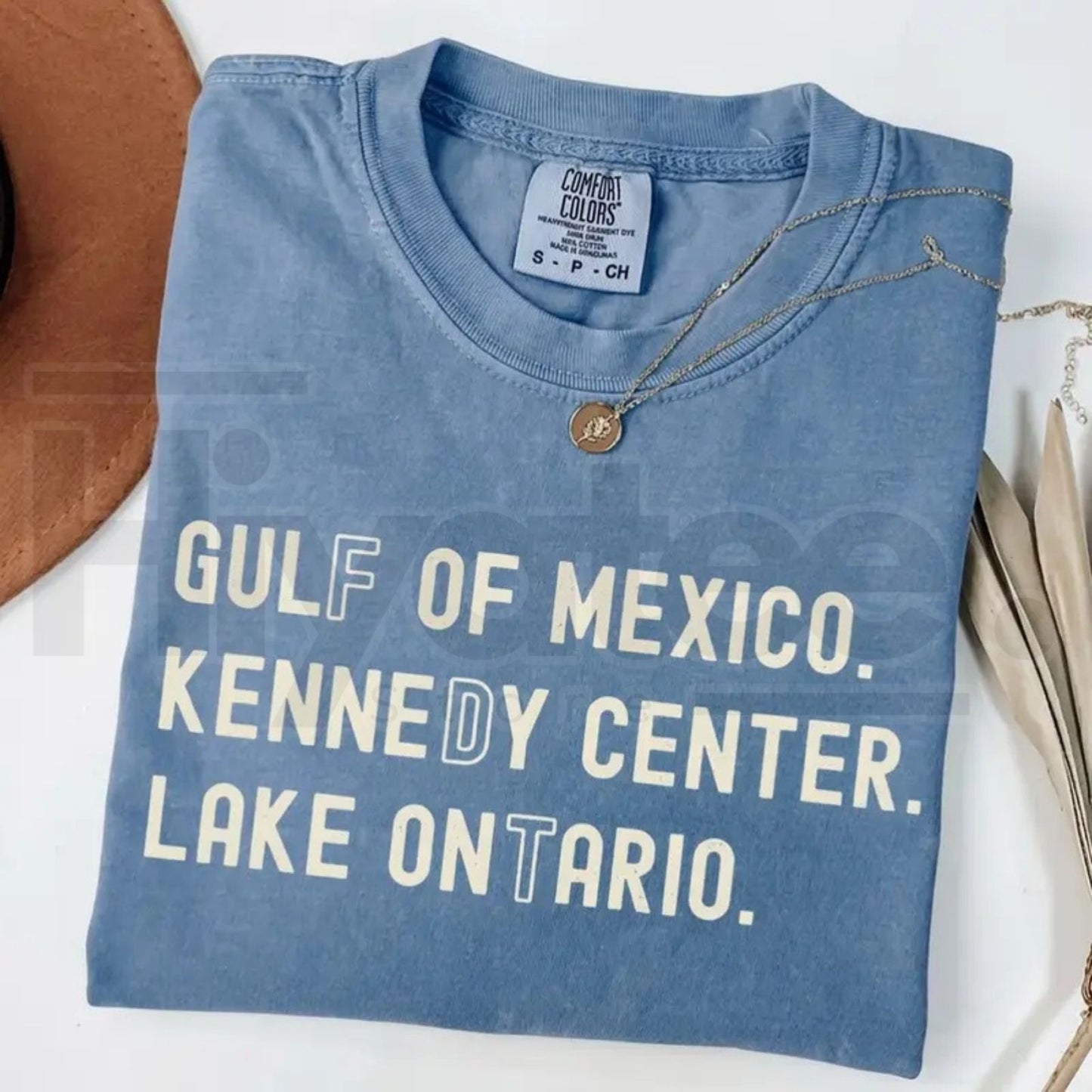 Comfort Colors Lake Ontario Kennedy Center Subtle Funny Activism T-Shirt - Hiyatee