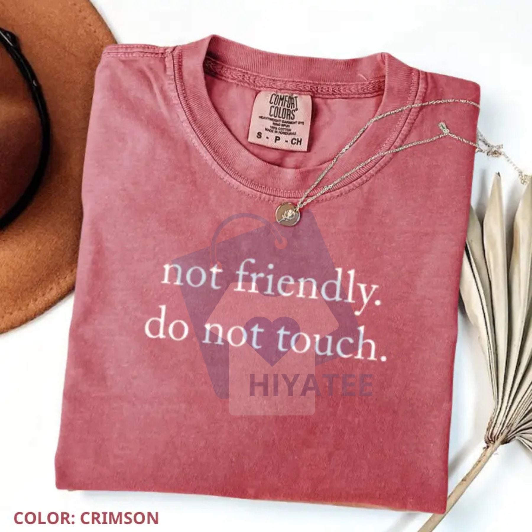 Comfort Colors "Not Friendly Do Not Touch" T-Shirt – Sarcastic Quote Tee, Funny Adult Humor Graphic T-shirt, Trendy Gift - Hiyatee