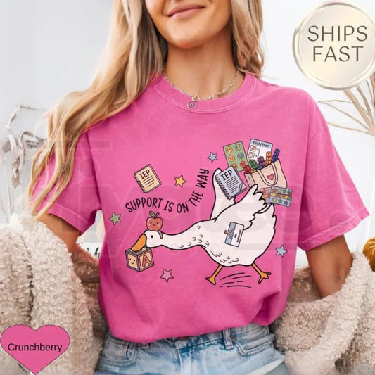 Comfort Colors® Silly Goose Special Education Teacher Shirt – Funny SPED Team Tee - Hiyatee